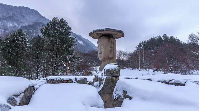 冬季侧面观景:韩国国宝96号大佛视频素材