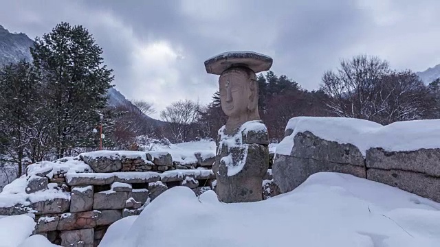 冬季侧面观景:韩国国宝96号大佛视频素材