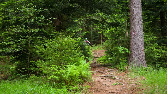 年轻女子骑山地车视频素材