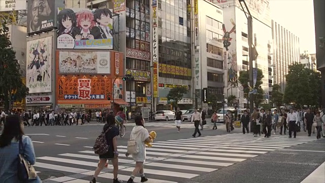 蒙太奇-街道秋叶原，东京视频素材