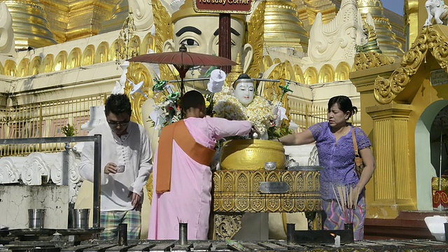 缅甸仰光大金寺，妇女和尼姑向佛像泼水视频素材