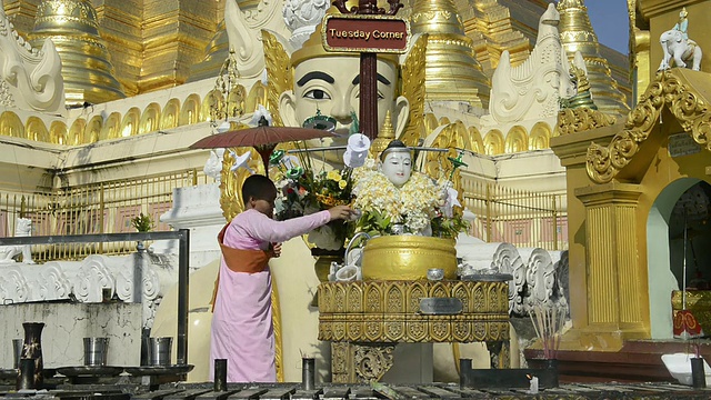 缅甸仰光大金寺，尼姑将水倒在佛像上视频素材