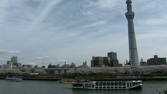 日本东京，天空树和隅田河的WS视图视频素材