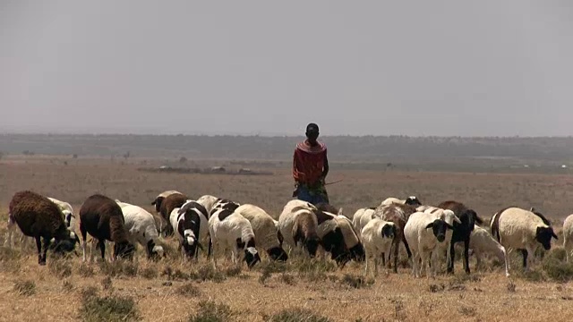 肯尼亚，Laikipia区，Nanyuki, Kisargei的演讲部落视频素材