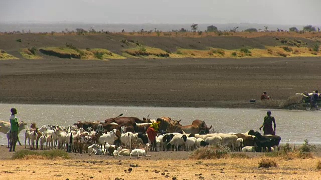 肯尼亚，Laikipia区，Nanyuki, Kisargei的演讲部落视频素材