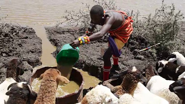 肯尼亚，Laikipia区，Nanyuki, Kisargei的演讲部落视频素材