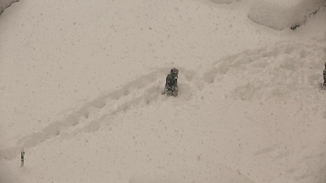 雪和玩视频素材