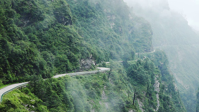 喜马拉雅山脚下的热带雨林视频下载