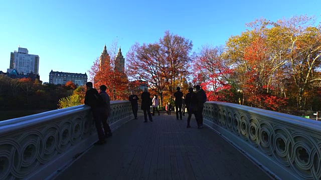 夕阳西下的弓桥上，被秋色树环绕着。视频素材