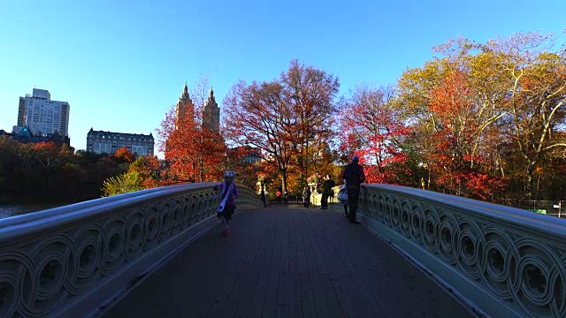 夕阳西下的弓桥上，被秋色树环绕着。视频素材