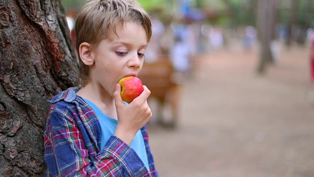 男孩在吃苹果，近处视频素材