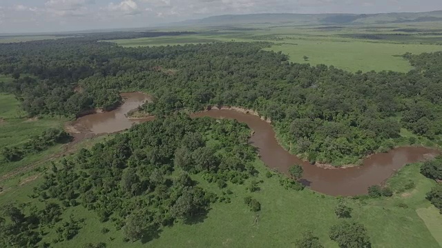 马拉河4K天线视频下载