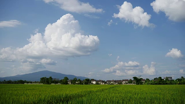 草甸绿野和多云蓝天延时，4k分辨率(UHD)视频素材