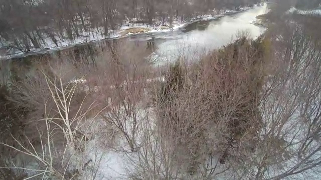 空中的树木在冬天的近距离跟踪视频下载