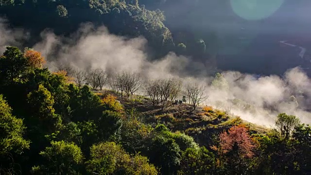 4K:森林中的雾和雾的延时拍摄视频素材