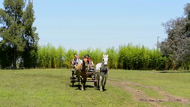 阿根廷布宜诺斯艾利斯高乔牛仔牧场外的城市称为唐希尔瓦诺牧场与马车骑视频素材