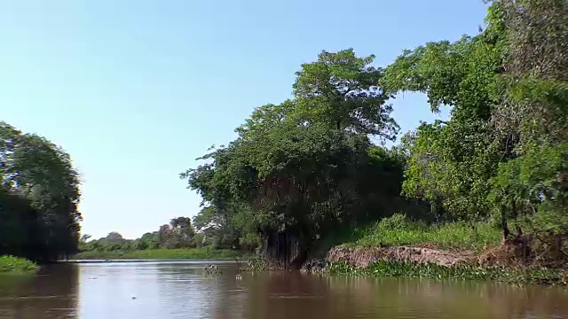 风景优美的古巴河，潘塔纳尔，巴西视频素材