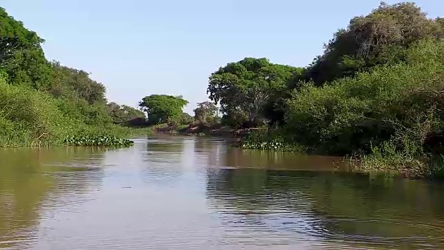 库亚巴河风景优美，潘塔纳尔，巴西视频素材