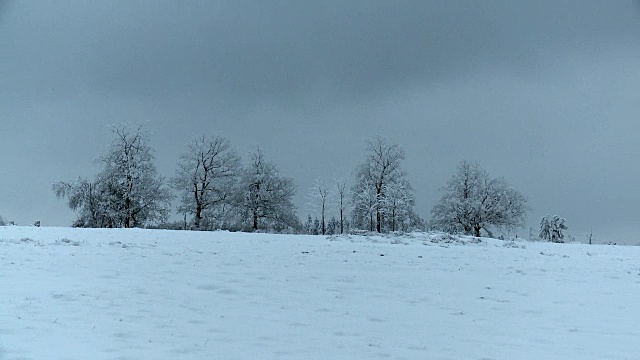 雪下的风景视频素材