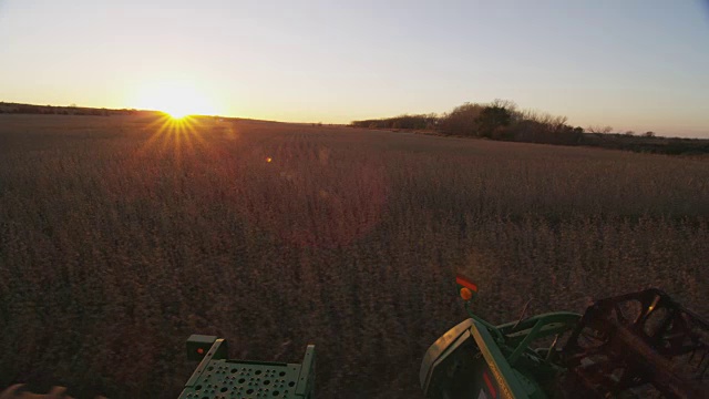 太阳从地平线上落下时，联合收割机就能收获大片的大豆。视频素材