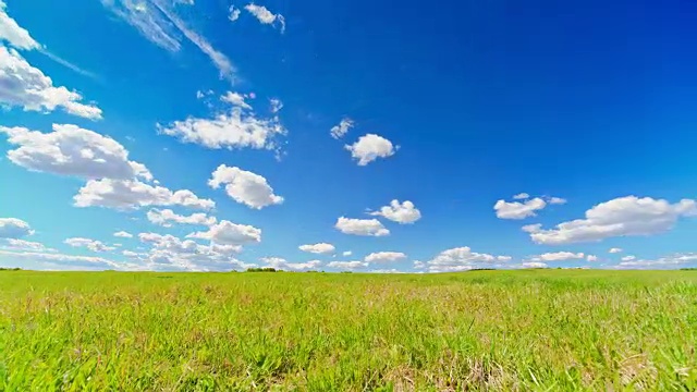 夏季景观，绿色草地视频素材