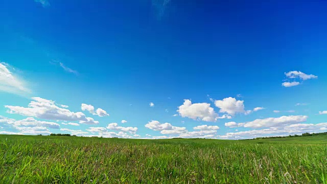 夏季景观，绿色草地视频素材