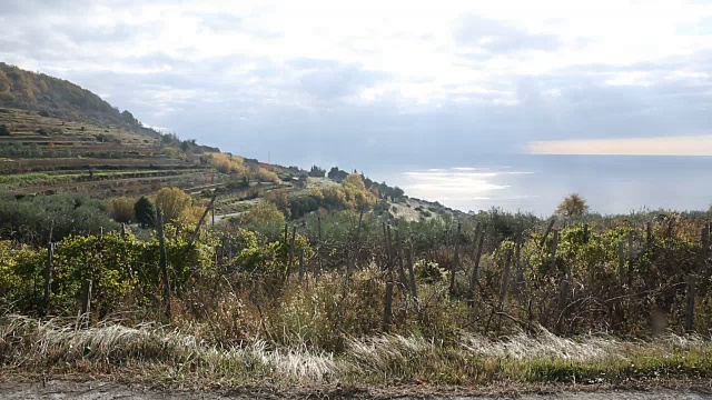 一个骑自行车的人停在山路边，望向大海视频素材