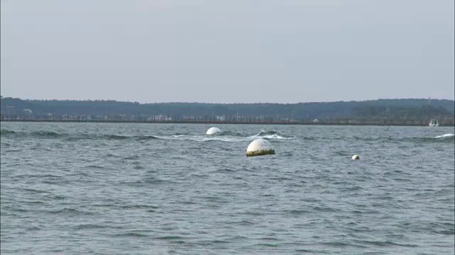 穿过海湾的渔船-浮标视频素材