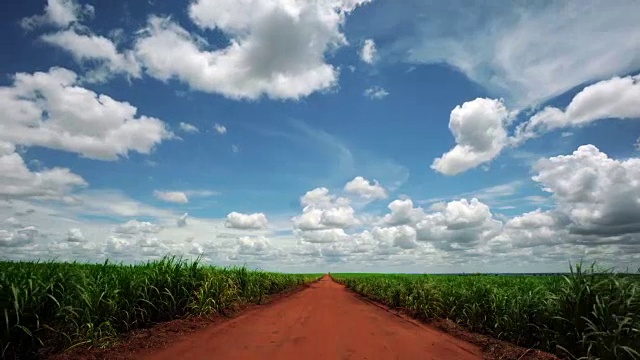 甘蔗种植园的土路视频素材