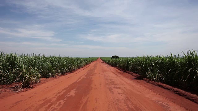 甘蔗种植园的土路视频素材