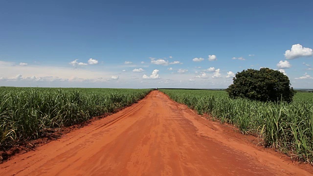 甘蔗种植园的土路视频素材