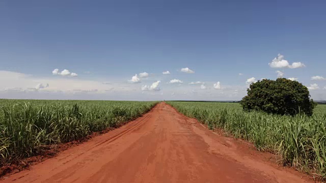 甘蔗种植园的土路视频素材