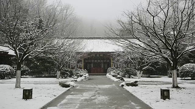 中国浙江杭州万松书院中式园林的雪景视频素材