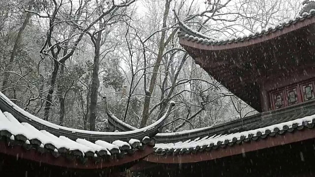 雪中殿檐，中国杭州视频素材