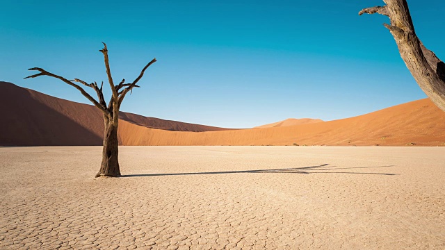 在纳米比亚的Deadvlei，一棵凝固的树在一个白色粘土锅里的风景场景的静态时间推移视频素材