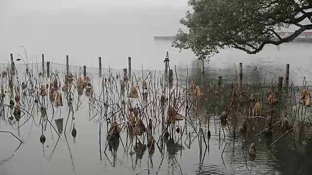 雪景西湖，中国浙江杭州视频素材