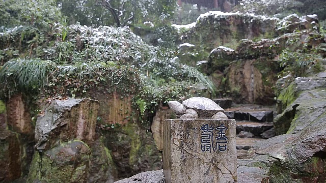 中国杭州西陵篆刻艺术学会雪景视频素材