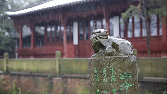 中国杭州西陵篆刻艺术学会雪景视频素材