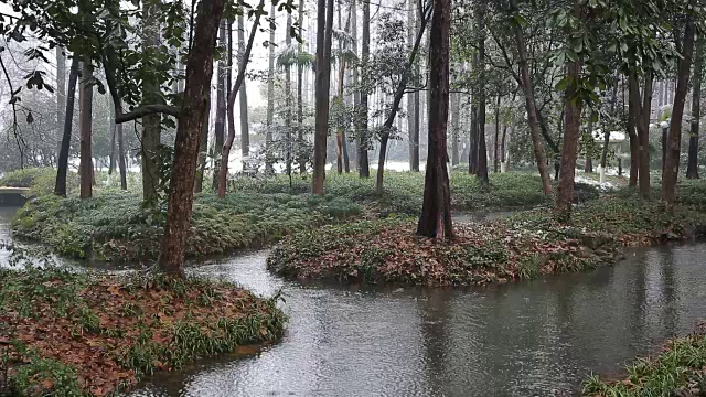 雪景西湖，中国浙江杭州视频素材