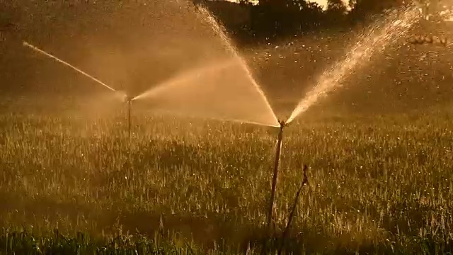 农业洒水装置视频素材