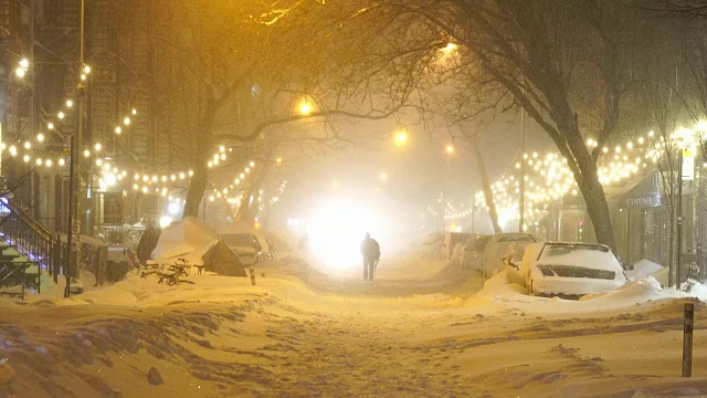 2016年1月23日晚上，严重的冬季暴风雪乔纳斯袭击了纽约东村。人们走在东村(East Village)积雪覆盖的第九大街上，这里被积雪和成排的树木包围着。视频素材