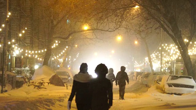 2016年1月23日晚上，严重的冬季暴风雪乔纳斯袭击了纽约东村。人们走在东村(East Village)积雪覆盖的第九大街上，这里被积雪和成排的树木包围着。视频素材