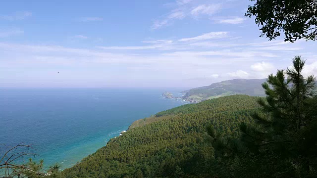 海边有树木。岩湾视频下载