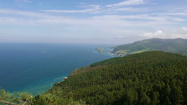 海边有树木。岩湾视频下载