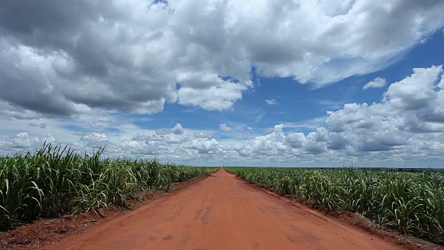 甘蔗种植园的土路视频素材