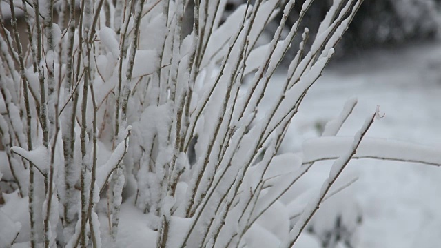 冬天和雪视频素材