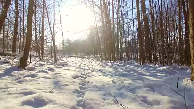 动物的足迹在雪景摄影车上拍摄视频素材