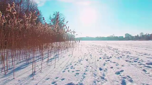 雪橇在雪地上留下的痕迹视频素材