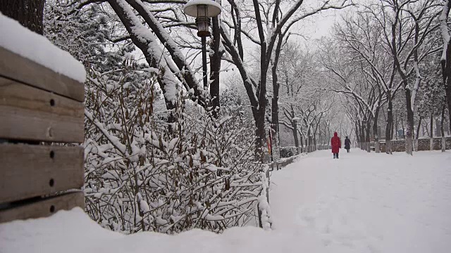 在冬天，公园里下雪。视频下载