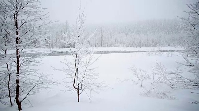 在大雪期间，潘在山上留下了被雪覆盖的树木。视频素材